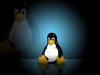 Пингвин Tux - символ Linux.