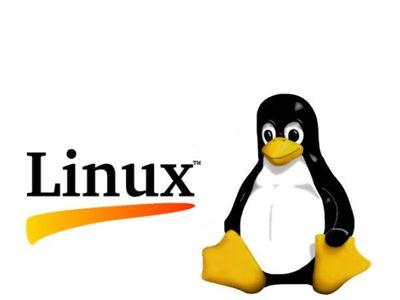  Linux  2.6.39:  ?