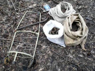 В Луганской области поймали "железнодорожного" вора 