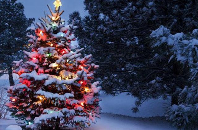 Когда и как принято убирать новогоднюю елку: приметы и традиции