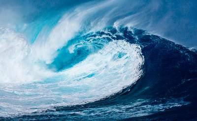 Ученые предупредили о грядущей катастрофе в океане
