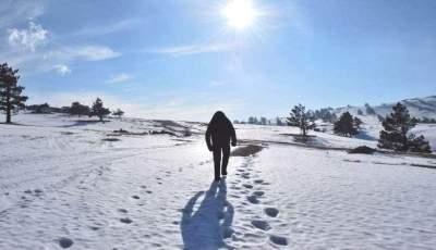 В США снежного человека засняли на видео