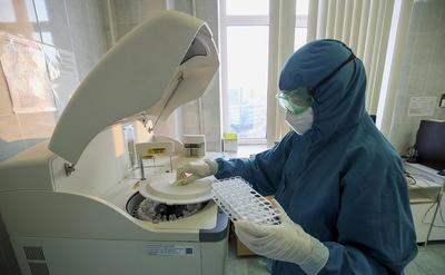 В РФ выявили два «российских» штамма коронавируса