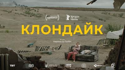 Украину на Оскаре представит фильм об авиакатастрофе MH17 на Донбассе (ВИДЕО)
