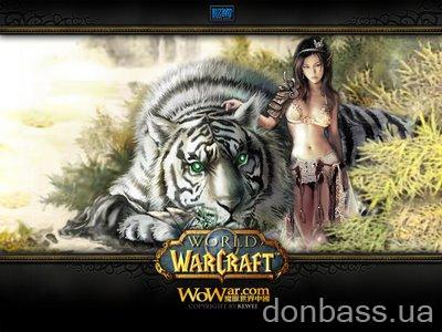 Blizzard   ""  World of Warcraft