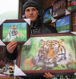 Подарок в год белого металлического тигра 2010. Голографическме картины с тиграми.