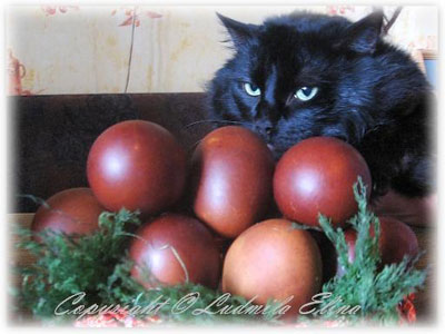 Пасха, крашенные яйца и кот