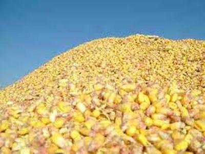 Правительство Украины стабилизировало цены на зерно