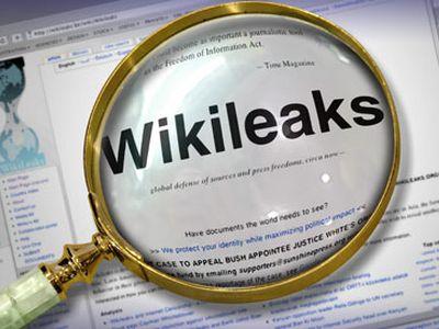 WikiLeaks   100   