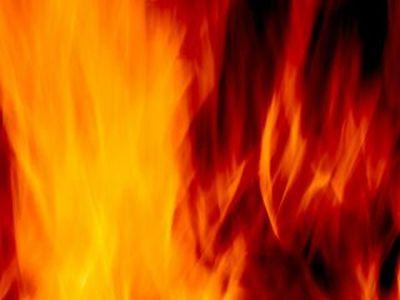 На пожарах в Донбассе пострадали трое человек
