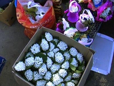 В Мариуполе жители Крыма попались на продаже подснежников