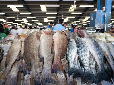 В Макеевке незаконно торгуют рыбой