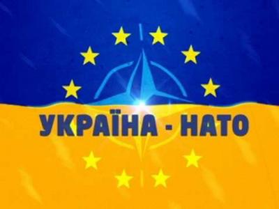 Резолюция ПА НАТО: в Раде увидели предпосылки для вступления Украины в Альянс