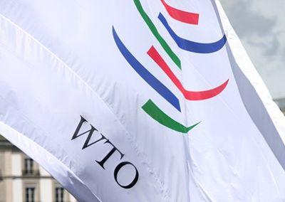 Россия из-за свинины готова покинуть ВТО