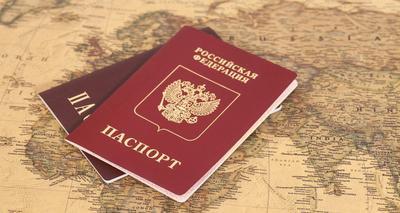 "ДНР" приостановила "паспортный туризм" в РФ из-за распространения коронавируса