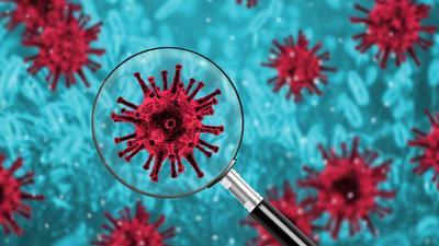 В Великобритании обнаружена более заразная разновидность коронавируса
