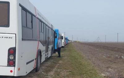 Из Бердянска в Запорожье выехали 42 автобуса с мариупольцами