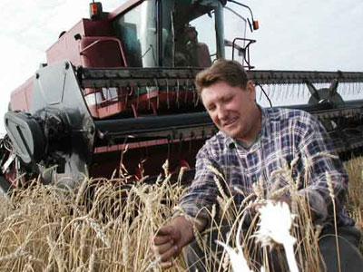 Собранный хороший урожай ранних зерновых дает надежду украинской экономике.